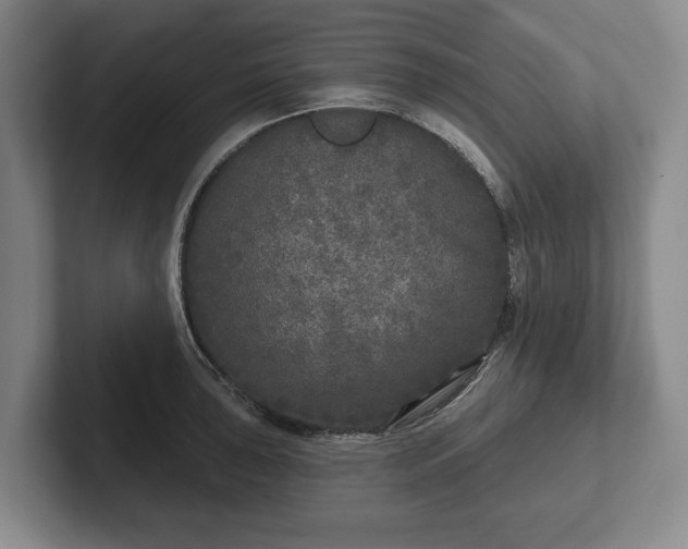 X0000102401043200808081300