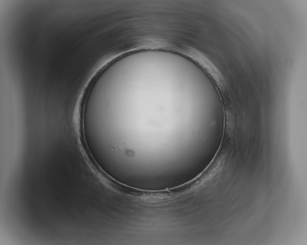 X0000102401046200808081300