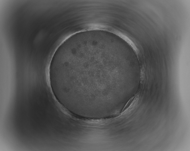 X0000102401047200808081300