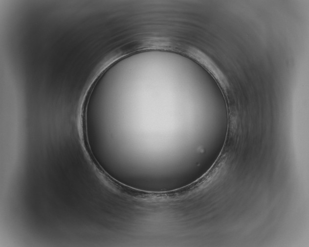 X0000102401050200808081300