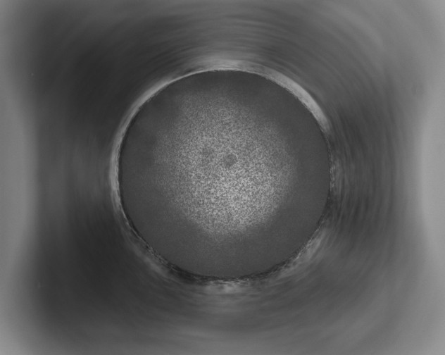 X0000102401051200808081300