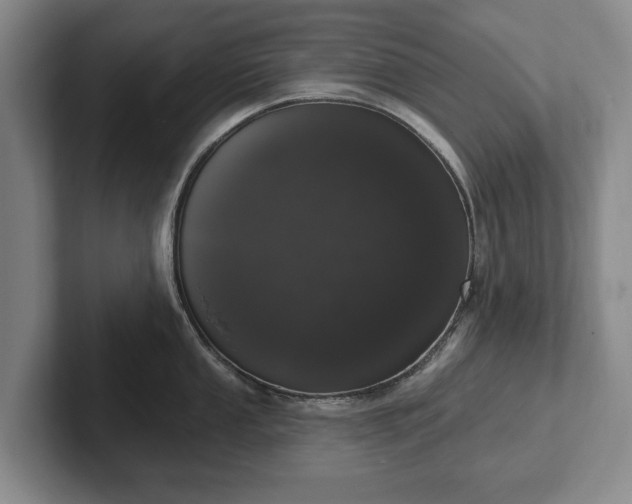 X0000102401053200808081301