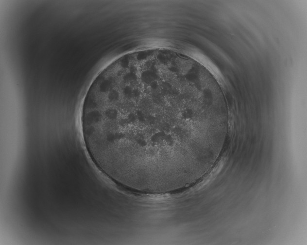 X0000102401055200808081301