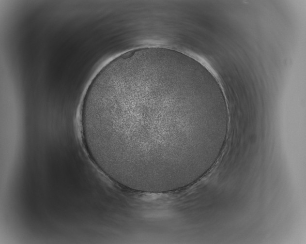 X0000102401056200808081301