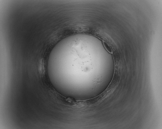 X0000102401058200808081300