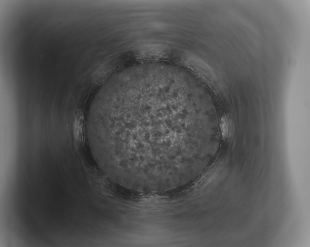 X0000102401059200808081300