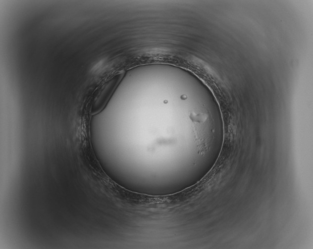 X0000102401062200808081300