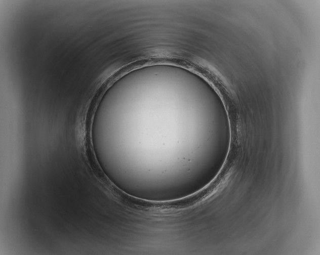 X0000102401065200808081300