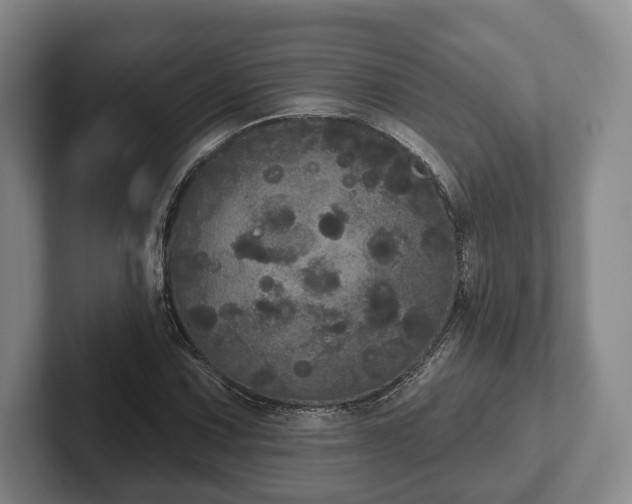 X0000102401067200808081300