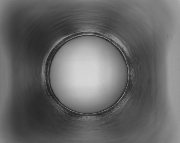 X0000102401068200808081300