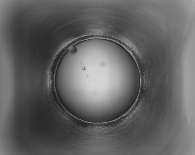 X0000102401070200808081300