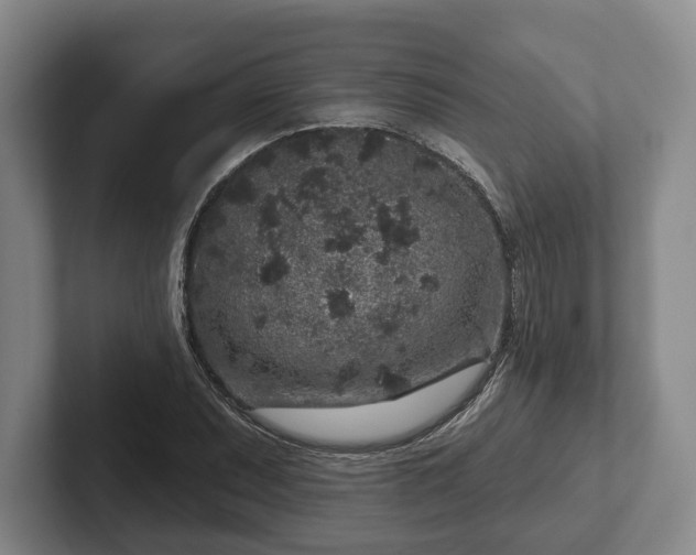 X0000102401071200808081300