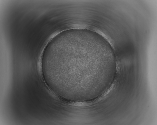 X0000102401074200808081300