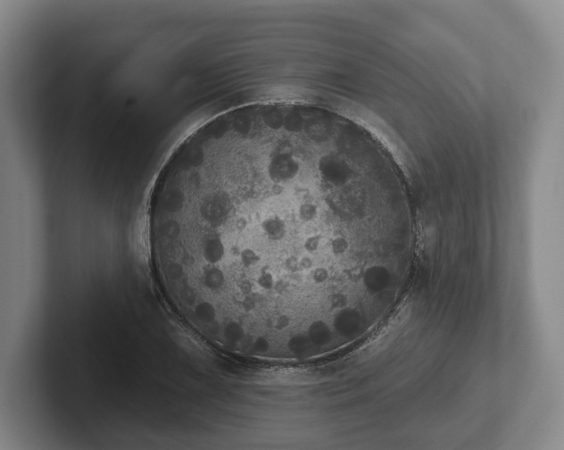 X0000102401075200808081300