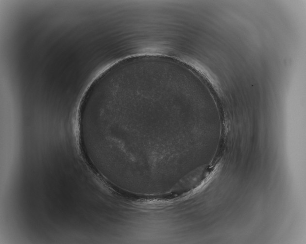 X0000102401077200808081300