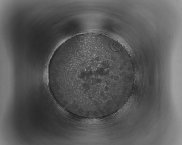 X0000102401079200808081300