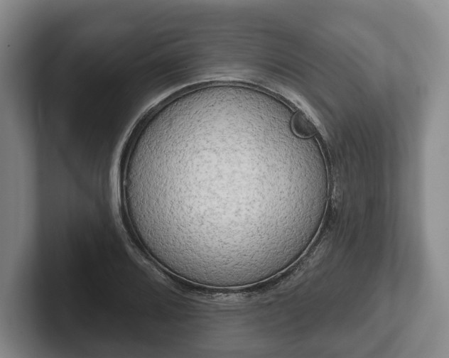 X0000102401080200808081300