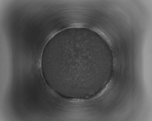 X0000102401081200808081300