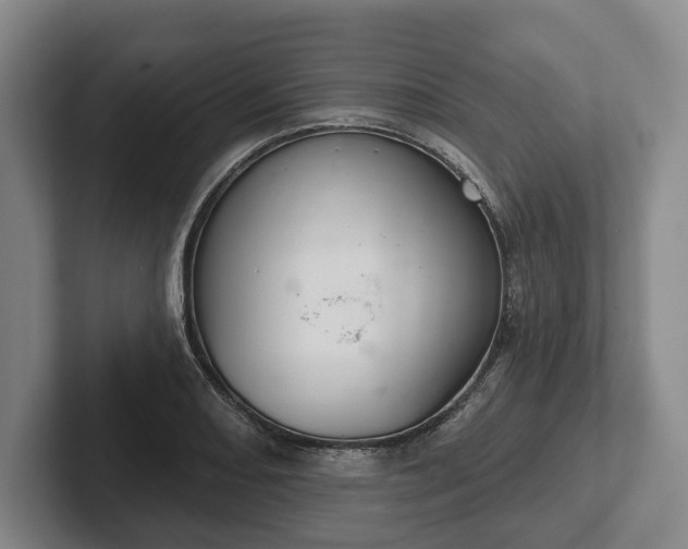 X0000102401082200808081300