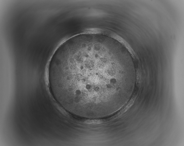 X0000102401083200808081300