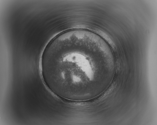 X0000102401084200808081300