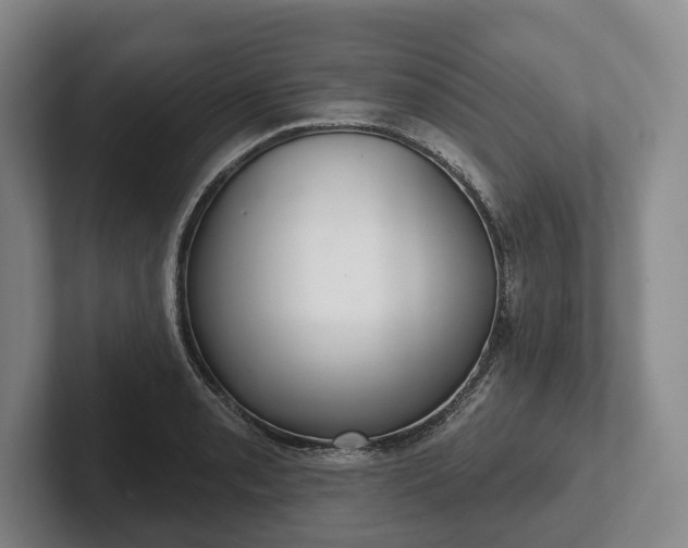 X0000102401085200808081300