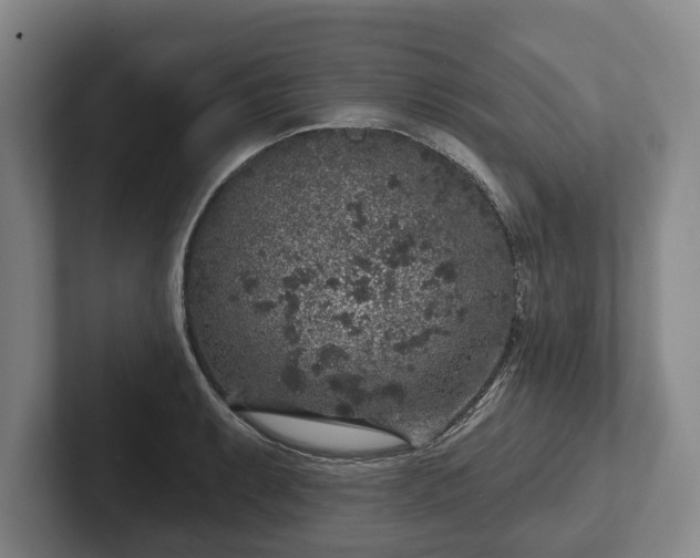 X0000102401087200808081300