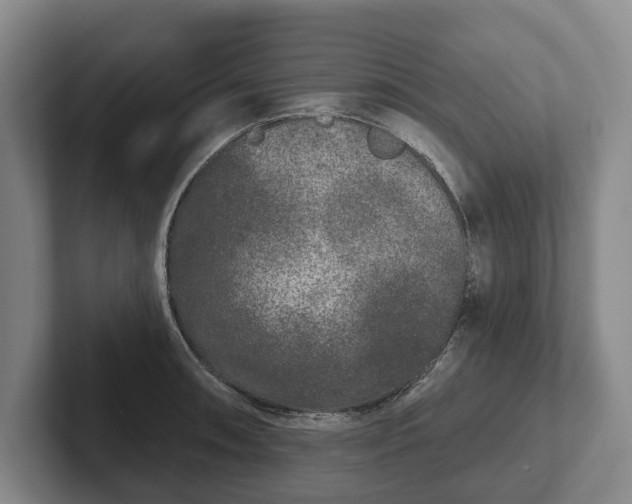 X0000102401090200808081259