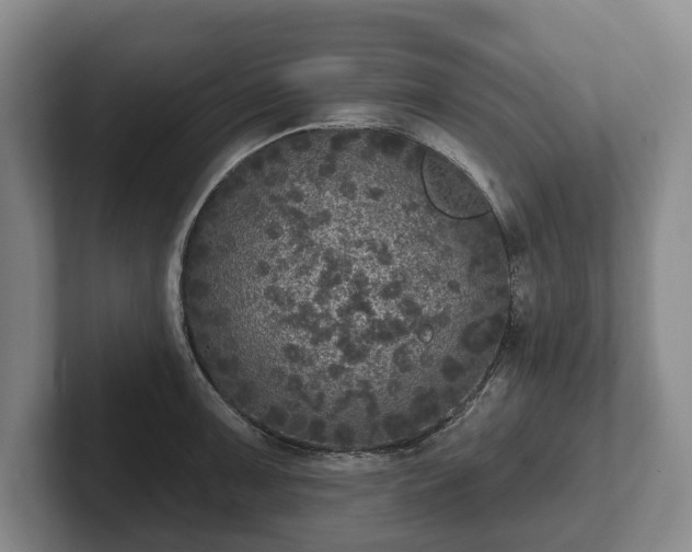 X0000102401091200808081259