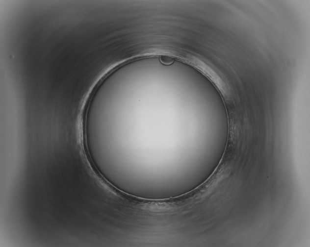 X0000102401092200808081259