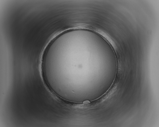 X0000102401093200808081259