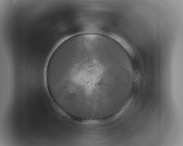 X0000102401094200808081259