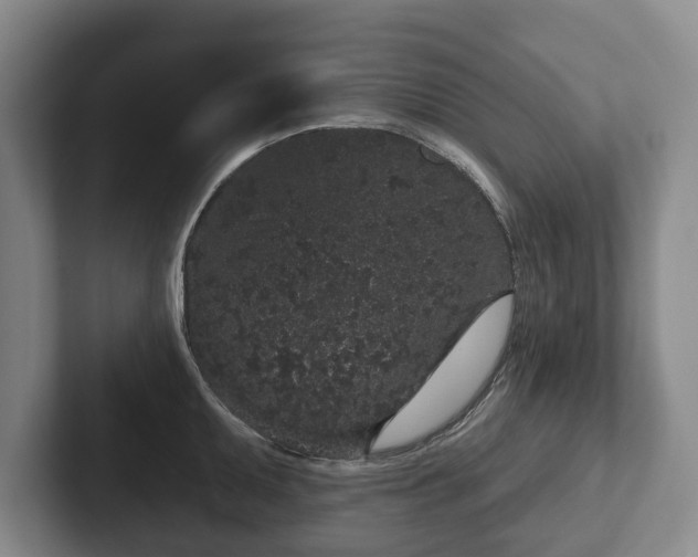 X0000102401095200808081259