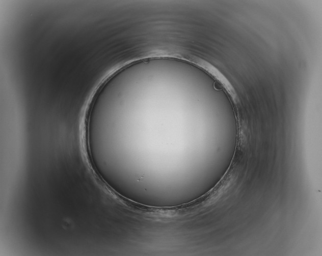 X0000102401096200808081259