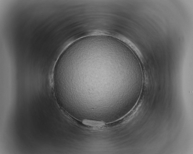 X0000102401097200808081259