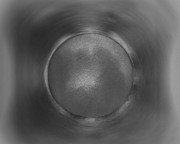 X0000102401098200808081259