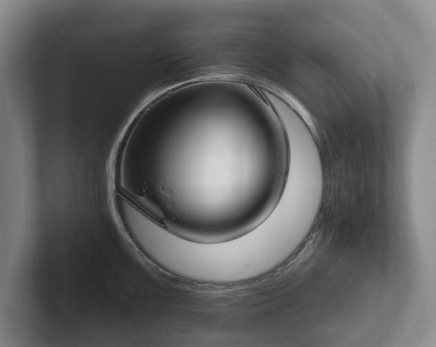 X0000102401099200808081259