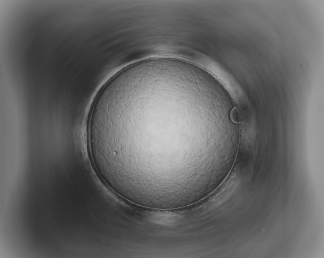 X0000102401100200808081259