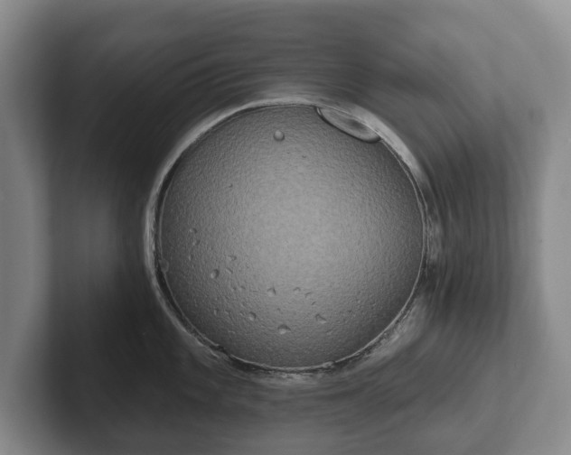 X0000102401101200808081259