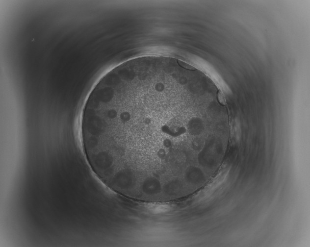 X0000102401103200808081259