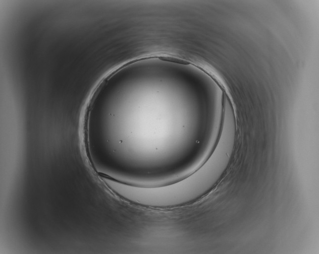 X0000102401104200808081259