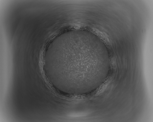 X0000102401105200808081259