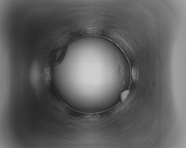 X0000102401107200808081259