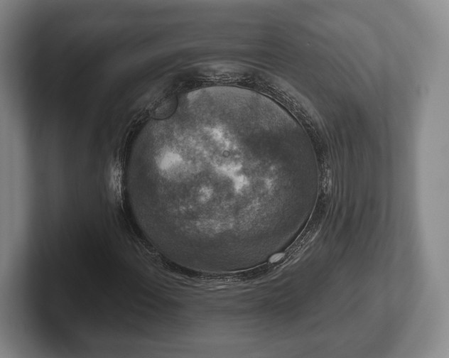 X0000102401108200808081259