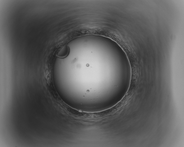 X0000102401109200808081259