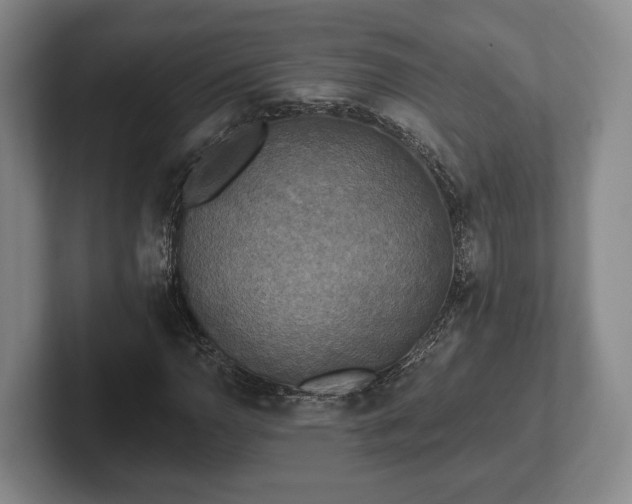 X0000102401110200808081259