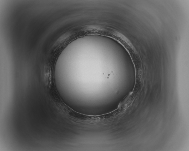 X0000102401111200808081259