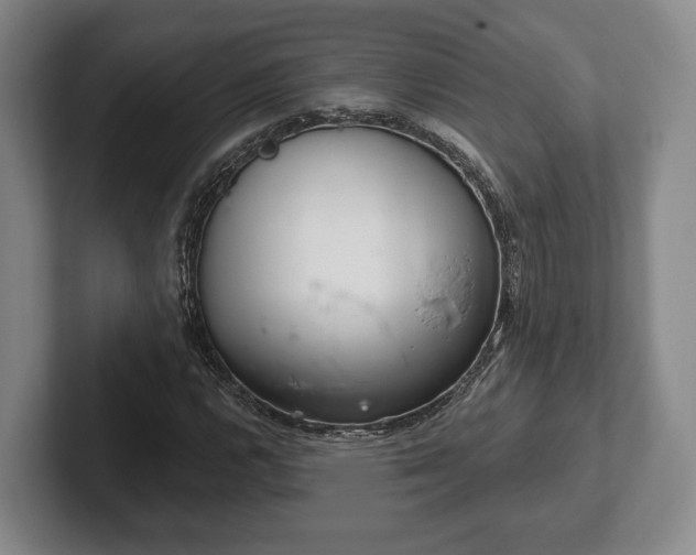 X0000102401112200808081259