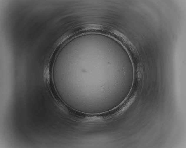 X0000102401113200808081259