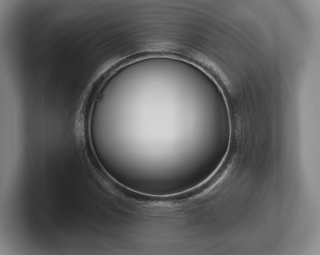 X0000102401114200808081259